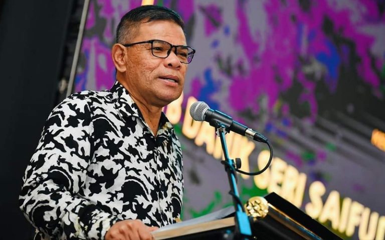 Datuk Seri Saifuddin Nasution Ismail