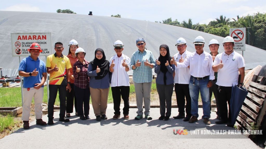 Poko Rumbia Kelebihan pokok rumbia perlu dikaji lebih mendalam - Hanifah Hajar ...