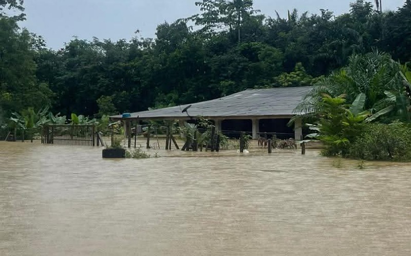 Berpindah banjir: Jangan keciciran rekod