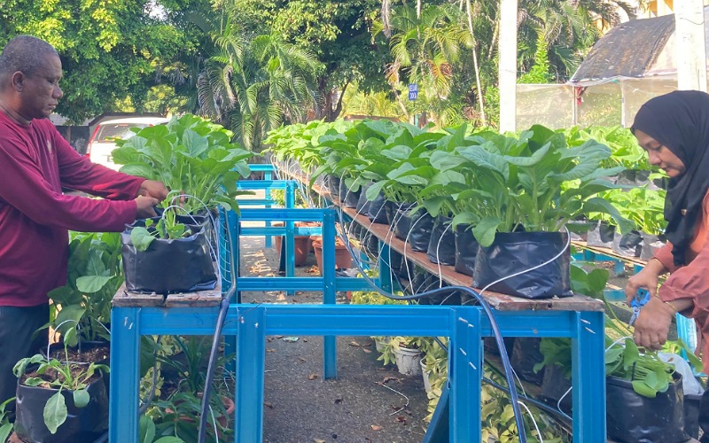 Primula Beach sahut saranan jayakan agenda keterjaminan makanan