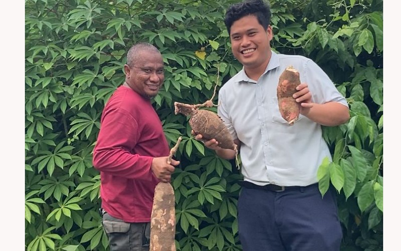 Selepas fertigasi sawi, Primula tanam ubi kayu demi alam sekitar