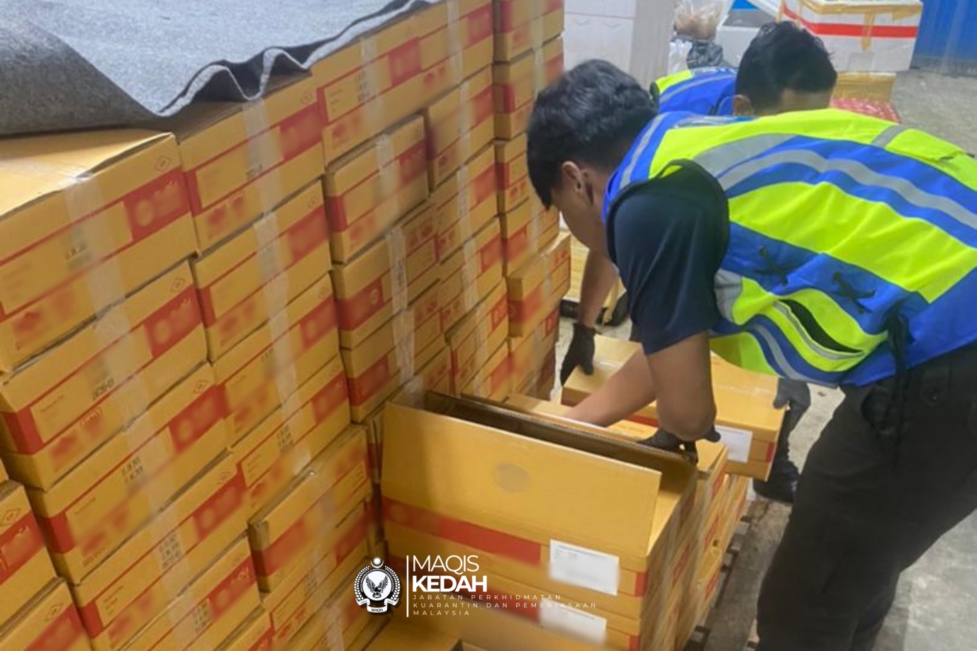 Maqis Kedah rampas ayam beku bernilai RM245,640