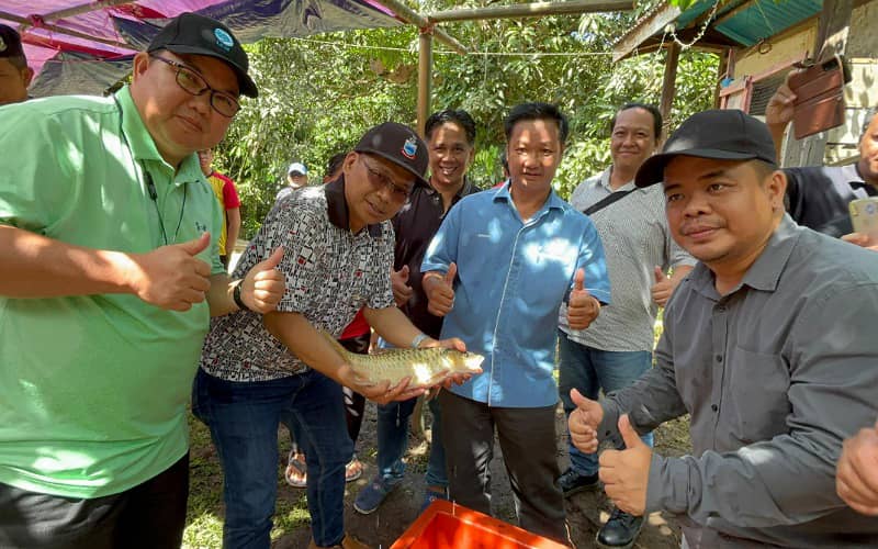 Pilih parti tepat demi pembangunan kawasan – Peto