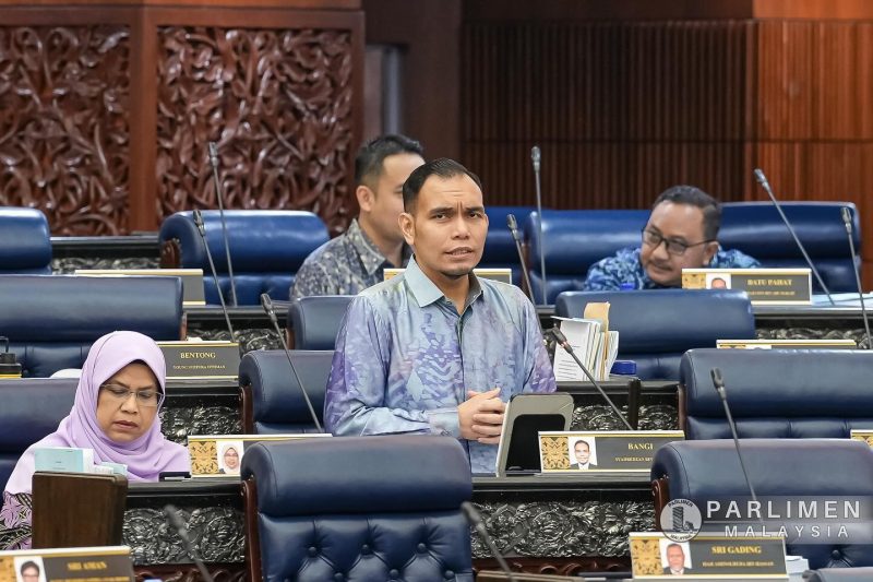 Satira, sindiran bukan lagi kesalahan kandungan palsu di bawah pindaan Akta 588