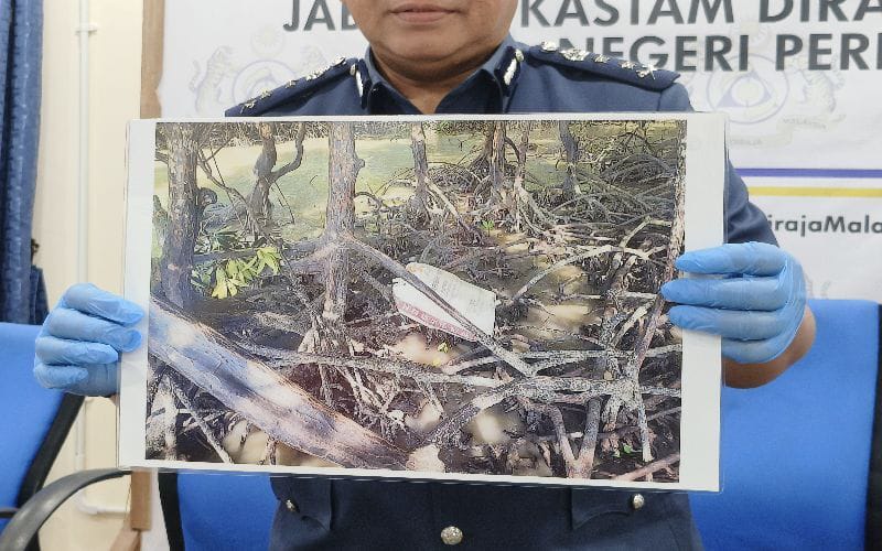 Kastam Perlis patahkan cubaan sindiket seludup ganja, ketum di laut
