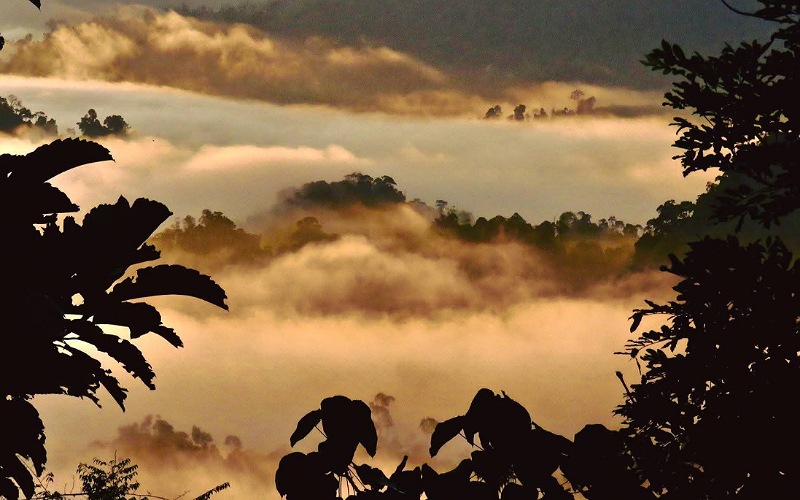 Gunung Pueh dicalonkan sebagai Tapak Rizab Biosfera UNESCO pertama di Sarawak