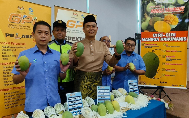 Adik Harum Manis bukan dari Perlis – FAMA