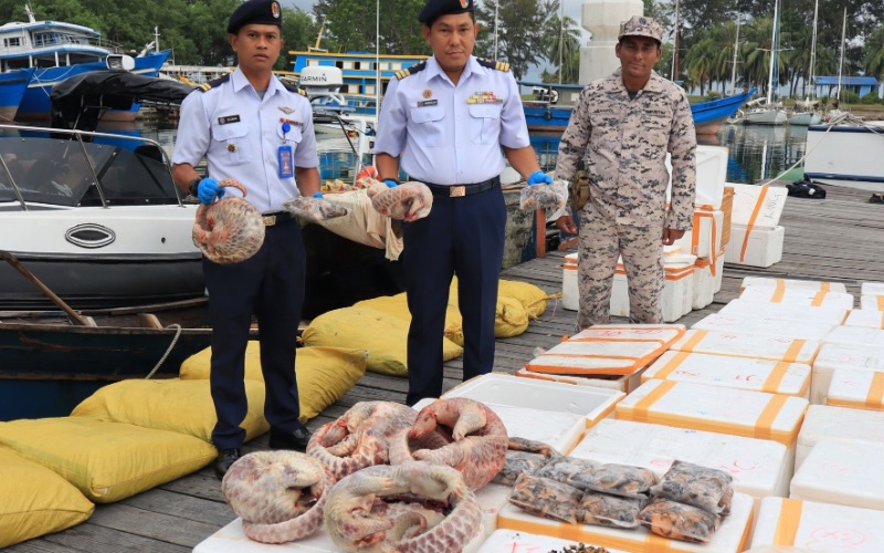 Maritim Malaysia Kudat gagalkan cubaan seludup makanan eksotik ke negara jiran