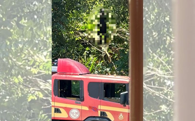 Mayat lelaki ditemukan di kawasan hutan