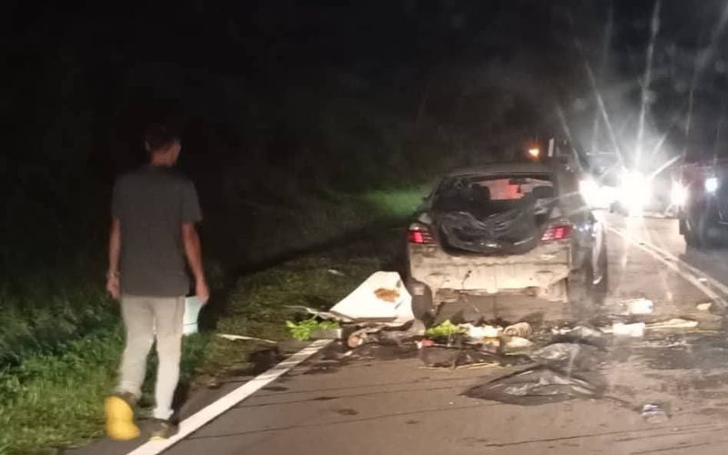 Nyaris maut gajah mengamuk lepas dengar hon kereta