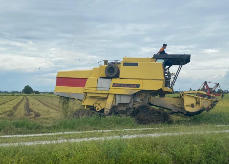 Petani tarik nafas lega insentif pembajakan, penuaian akan diselesaikan