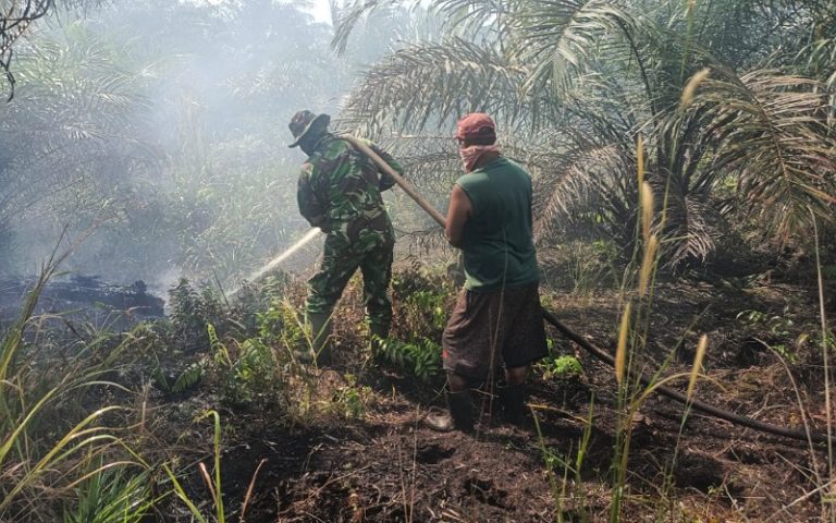 jerebu Indonesia