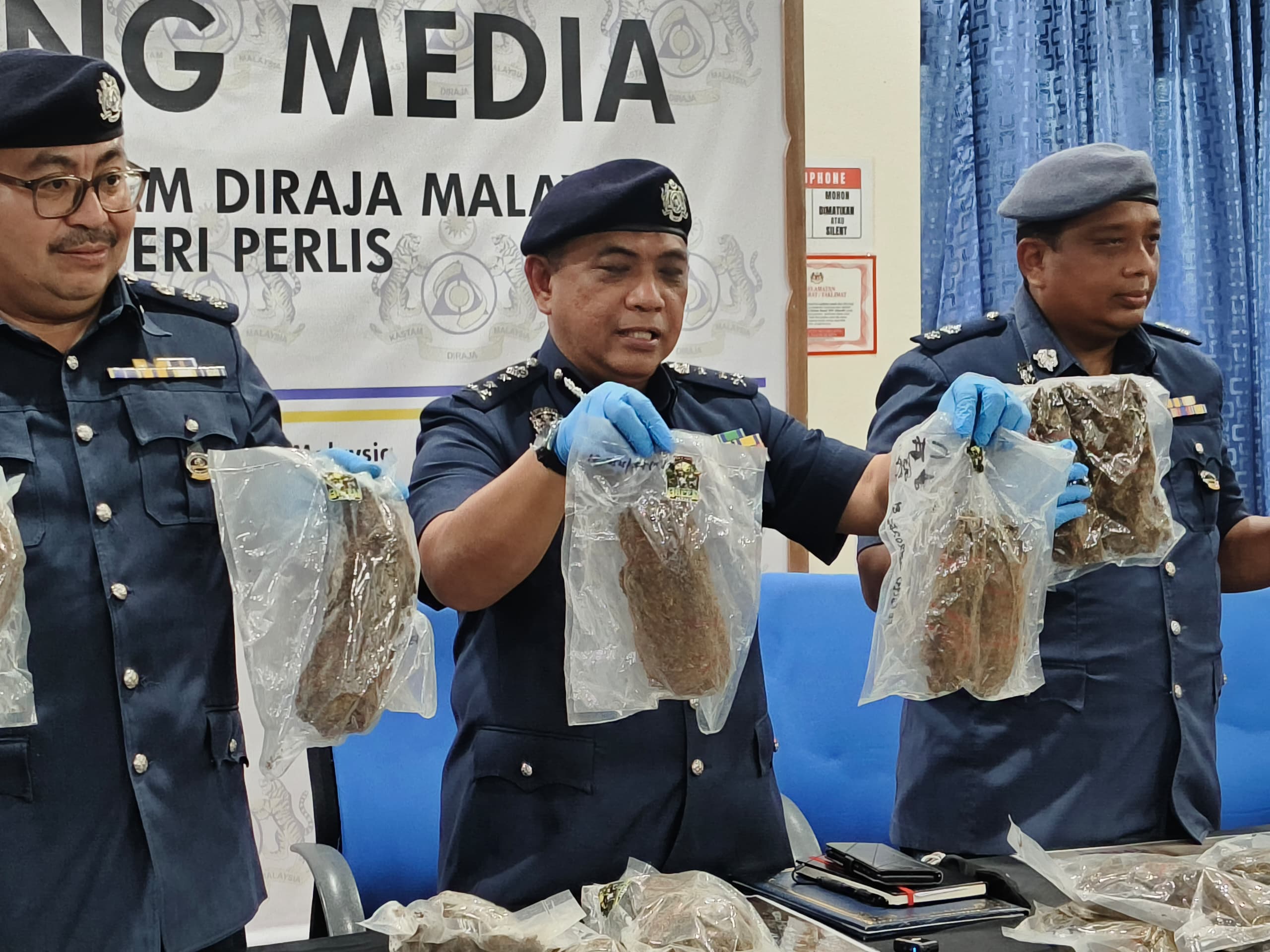 Kastam rampas bunga ganja bernilai RM2.94 juta