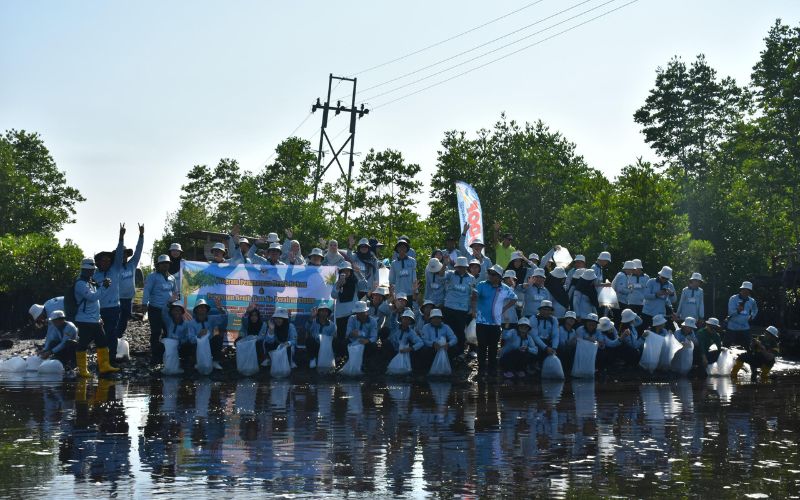Program penanaman benih bakau dan pelepasan benih ikan kukuhkan sektor perikanan Lawas