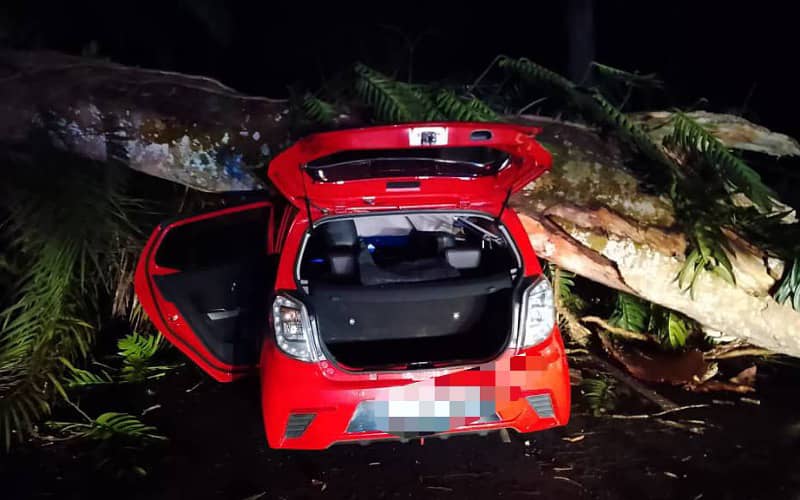 Lelaki cedera ringan, pokok tumbang hempap kereta
