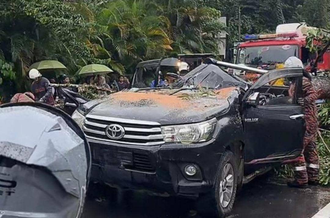 Lelaki maut kenderaan dihempap pokok