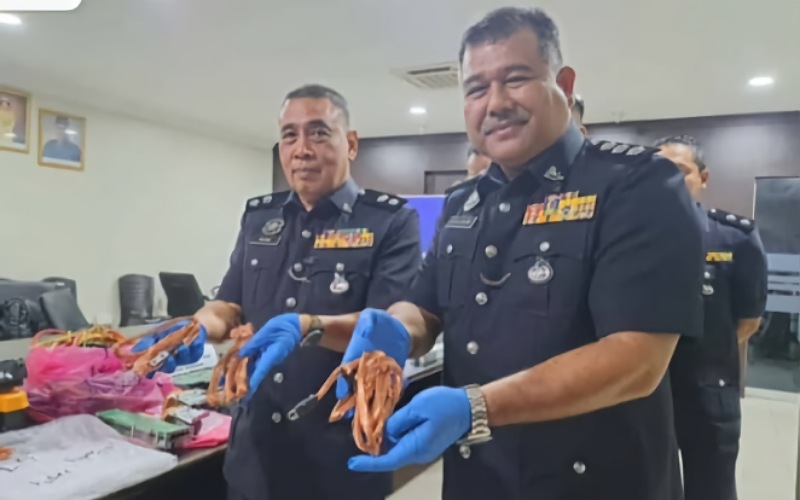 Bekas juruteknik khianat curi komponen, kabel pencawang demi dadah