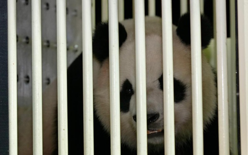 Chen Xing, Xiao Yue simbol persahabatan Malaysia – China