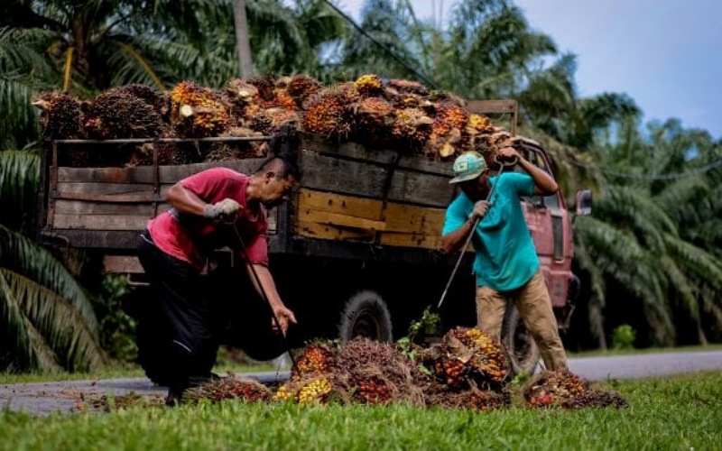 Kadar pengangguran kekal 3.0 peratus pada Oktober
