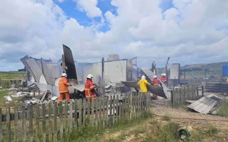 Pemandu maut tersepit, lori balak terbalik di Kalabakan