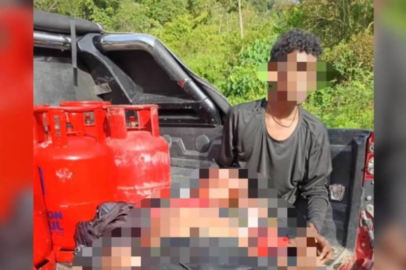 Lelaki jatuh gaung selepas diserang gajah liar