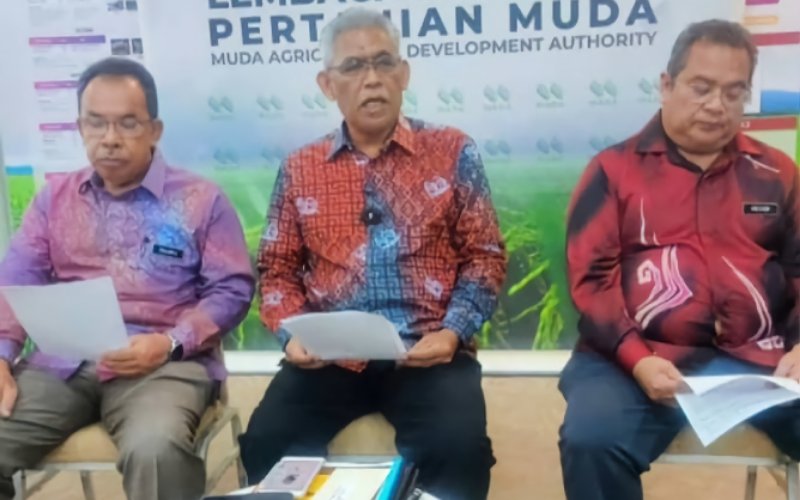 11,657 hektar sawah MADA terjejas akibat banjir, kerugian hampir RM20 juta