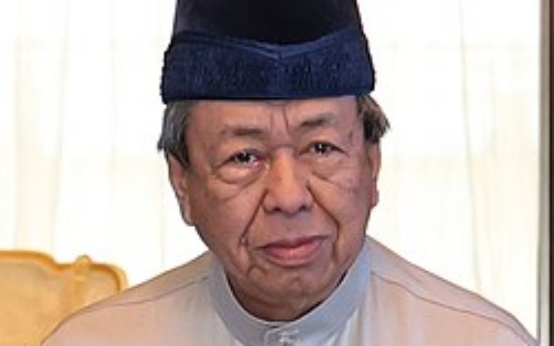 Operasi ternakan babi harus dihentikan secara beransur-ansur – Sultan Selangor