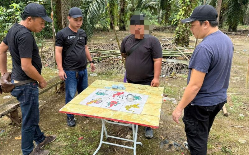 Padah main judi ‘Holo’ di ladang sawit, pemuda 22 tahun diberkas