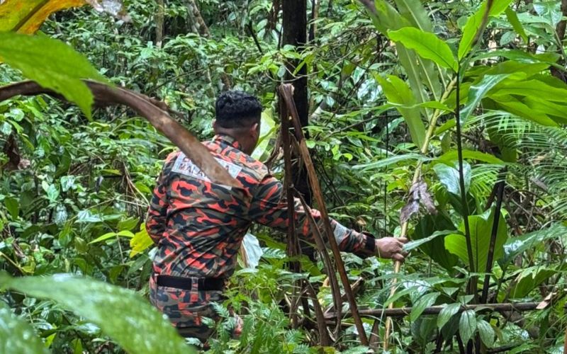 Kanak-kanak 7 tahun dilapor hilang, operasi SAR diteruskan