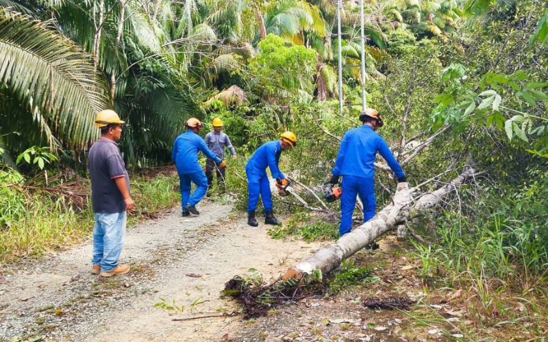 APM Saratok bertindak pantas bersihkan pokok tumbang di Jalan Nanga Batang Ulu Krian