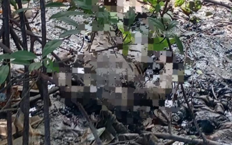 Mayat lelaki ditemukan terapung di sungai Kalansanan, tiada unsur jenayah