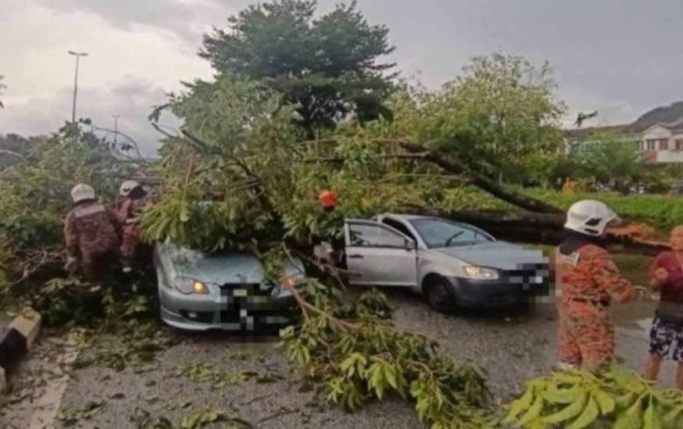 Tiga kereta dihempap pokok tumbang, enam mangsa selamat