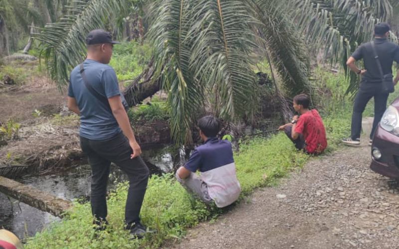 Dua lelaki positif dadah ditahan dalam Op Tapis di ladang sawit SALCRA Pagan