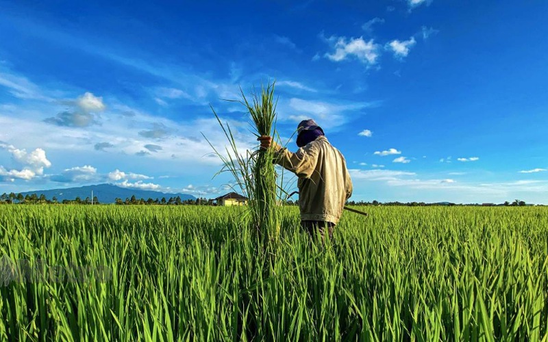 Insentif tambahan bukti komitmen Kerajaaan MADANI tidak lupa kebajikan rakyat ketika berdepan krisis
