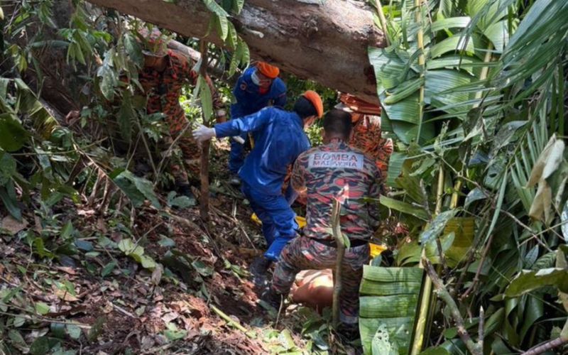 Penjawat awam parah dihempap pokok ketika ukur tanah