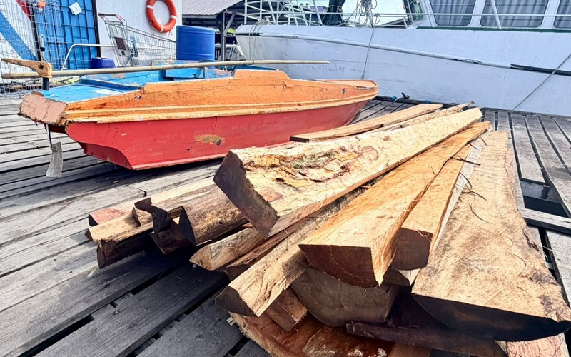 Dua penagih ditahan Maritim Malaysia tahan bawa 35 batang kayu curi