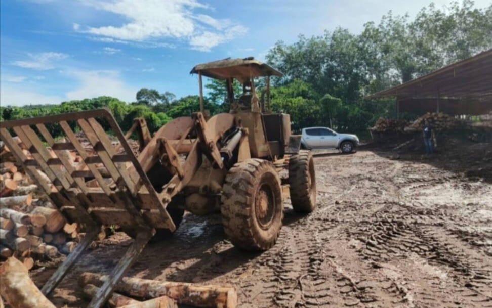 Kayu balak RM4.3 juta dirampas dalam Operasi Bersepadu Khazanah