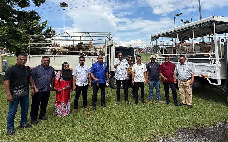 18 ekor lembu korban disumbangkan ke Kampung, agensi