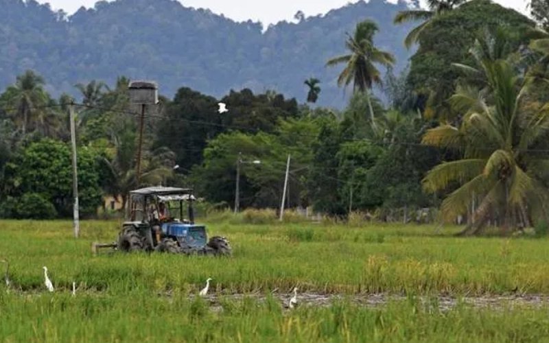 Kerajaan lulus bayaran pendahuluan IPKP RM200 sehektar kepada pesawah