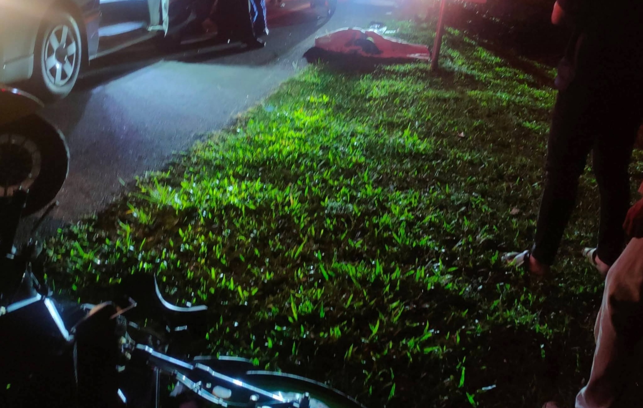 Pemuda maut, motosikal langgar lembu