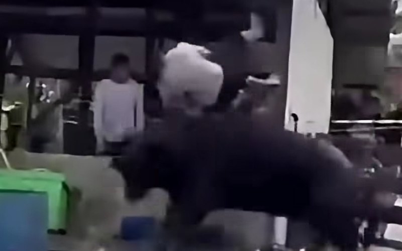 Kerbau korban mengamuk: Seorang maut, seorang cedera dalam dua kejadian berasingan