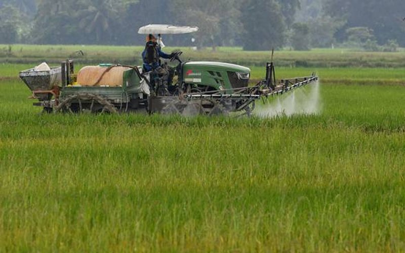 Dakwaan PeSAWAH disanggah PKR Kedah