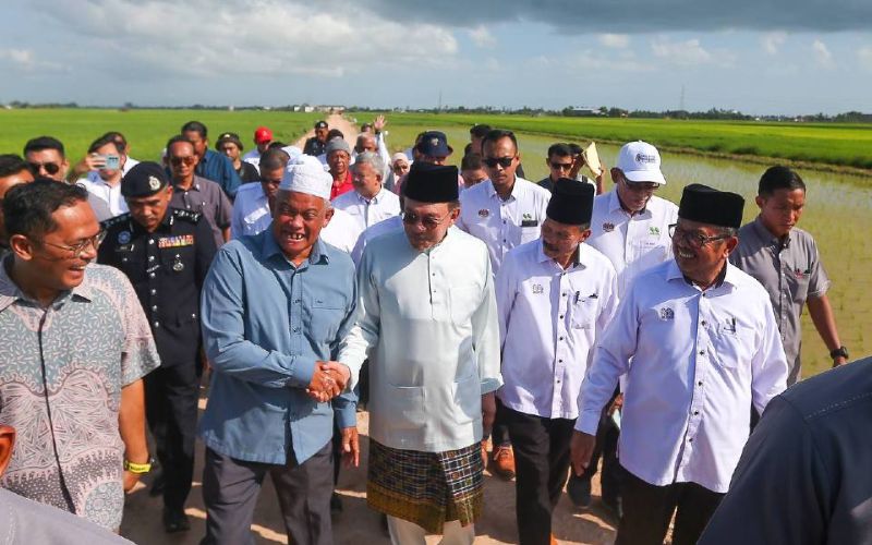 Kerajaan lulus bayaran pendahuluan IPKP RM200 sehektar kepada pesawah