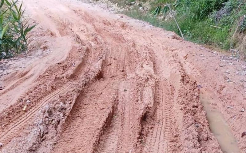Orang Asli Gua Musang risau projek jalan perhubungan desa tertangguh