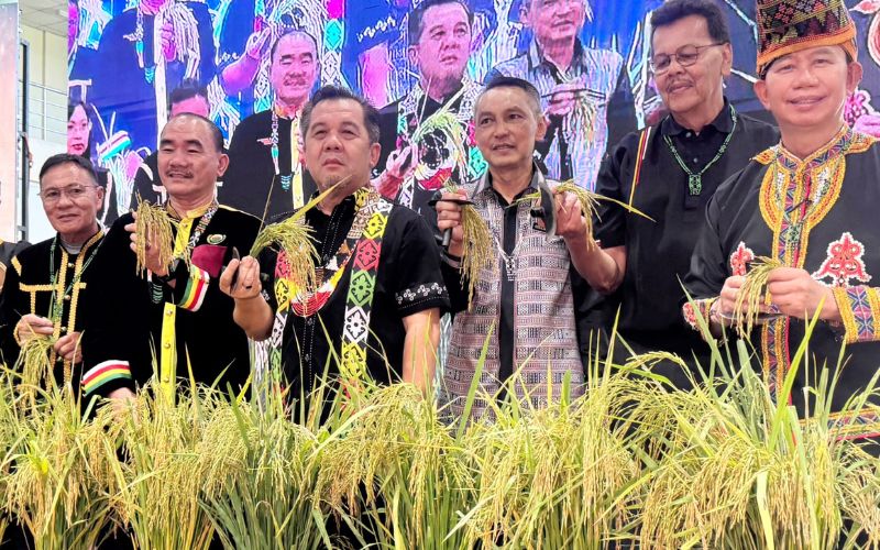 Padi tanah kering fokus baharu tingkat sekuriti makanan Sabah – Jamawi