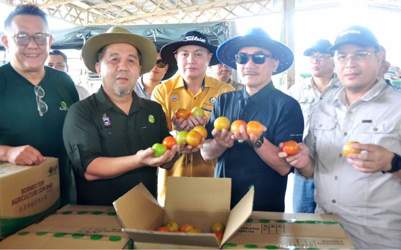 Pengusaha pertanian tempatan bantu kurangkan import makanan