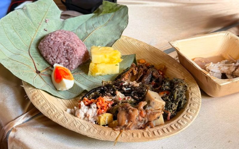 Jungle Food Lab tarikan utama International Week 2026