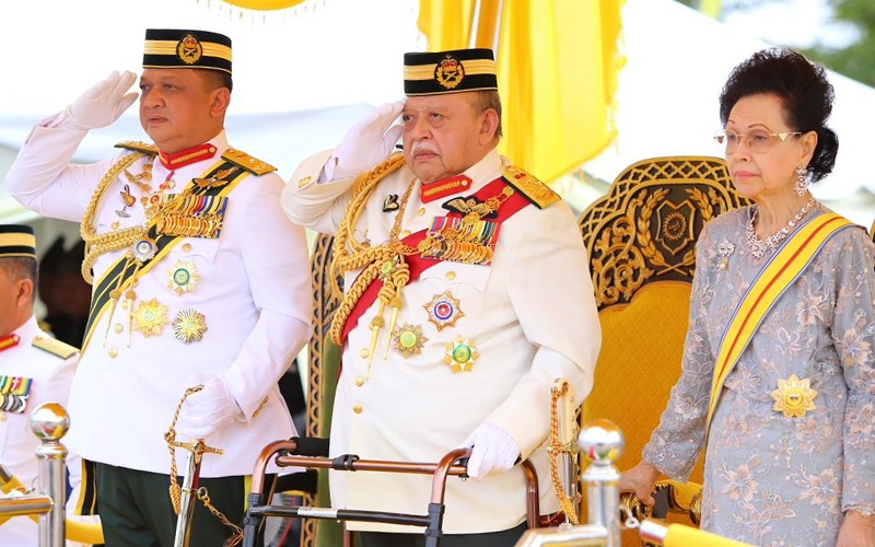 Perbezaan politik jangan jadi penghalang pembangunan negeri – Raja Perlis