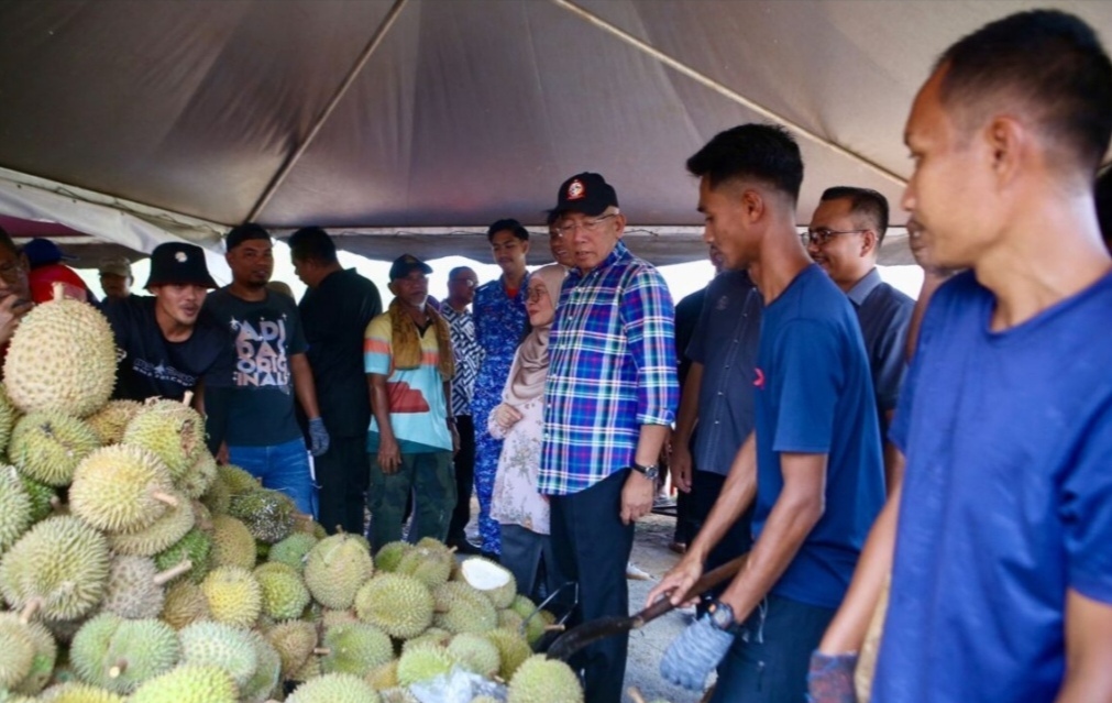 Durian Hub jadikan Pedu sebagai pusat pengeluaran durian.