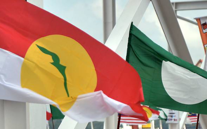 Pas akan telan UMNO? Pengajaran politik daripada kemelut PN